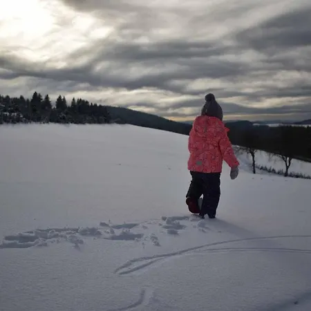 Ferienwohnung (H)Auszeit Pape Apartment
