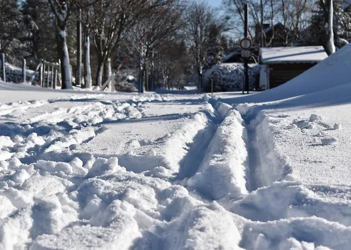 Daire Ferienwohnung Winterberg